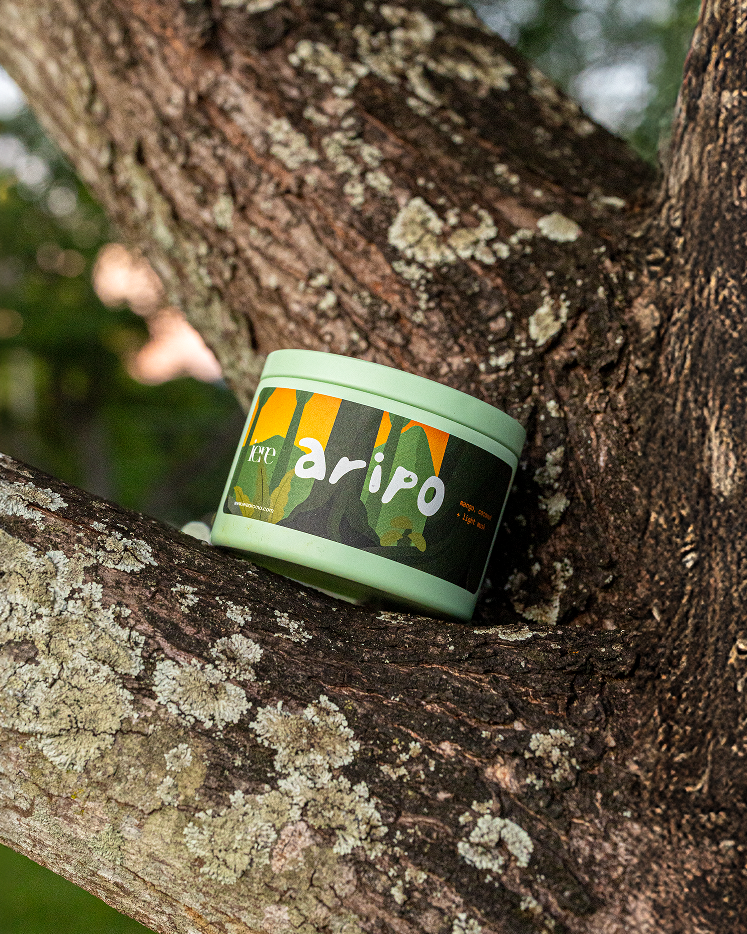 aripo – aluminum vessel